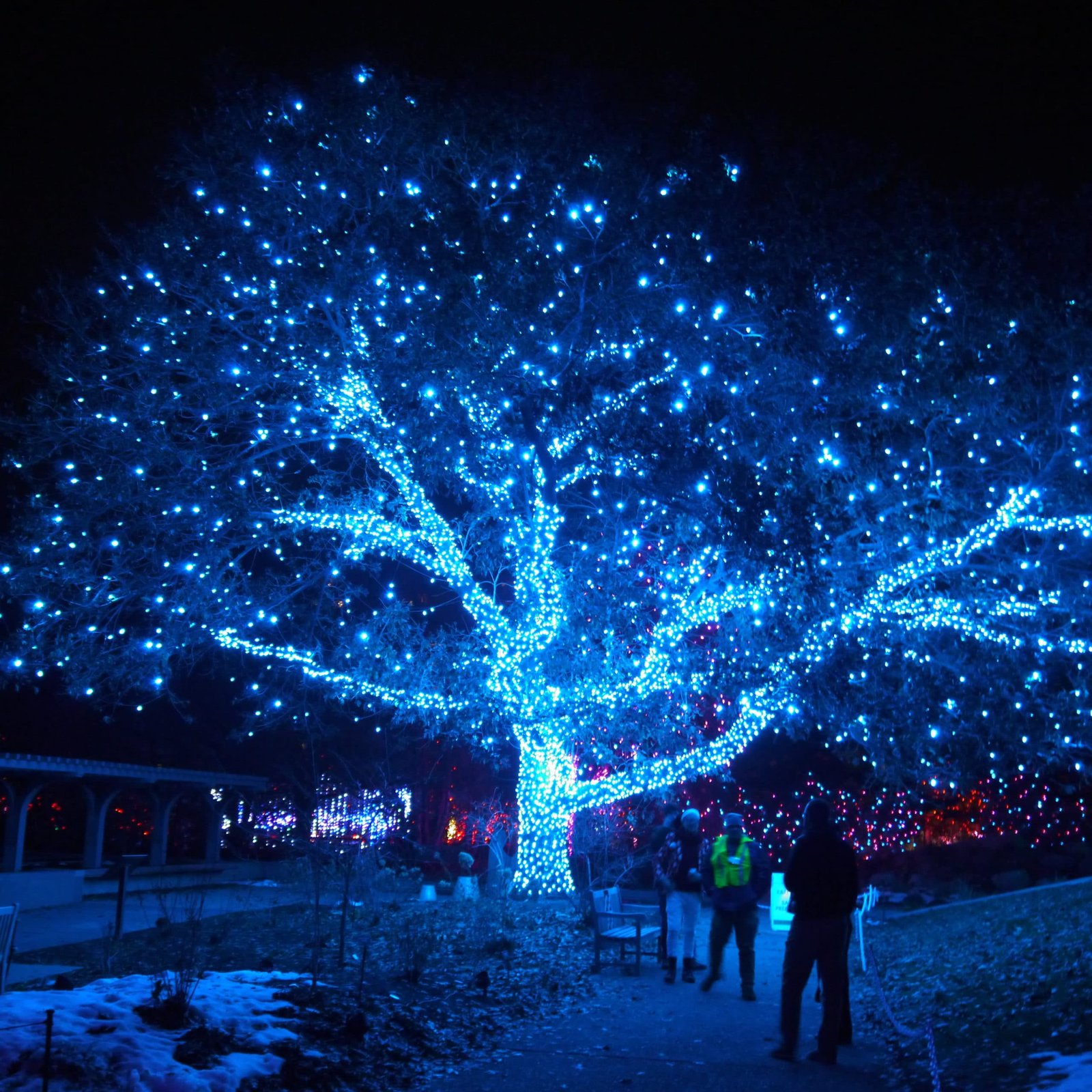 HUNTROAD | Home HUNTROAD|Home