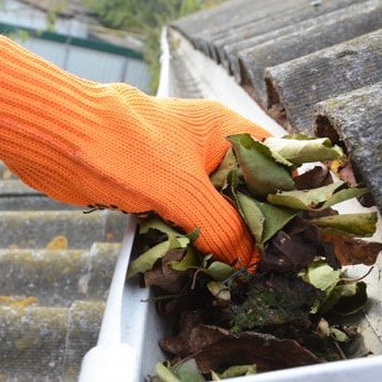 HUNTROAD | Home HUNTROAD | Home